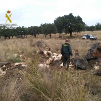 Detenido por robar 11.400 kilos de corcho en fincas de la Sierra de San Pedro