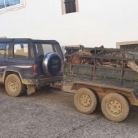 Detenido por robar 11.400 kilos de corcho en fincas de la Sierra de San Pedro