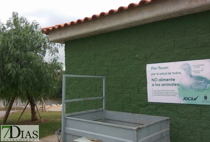 ¿Patos si o patos no?