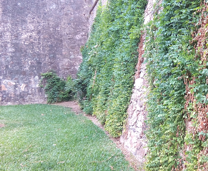 Alertan sobre el abandono del Patrimonio en Badajoz