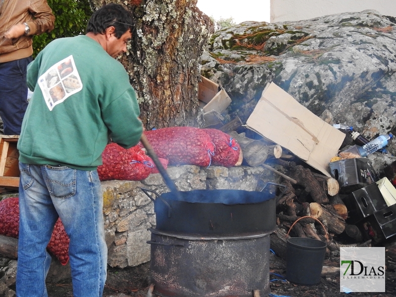 Ambiente en la XXXIII edición de la Feria de la Castaña de Marvao