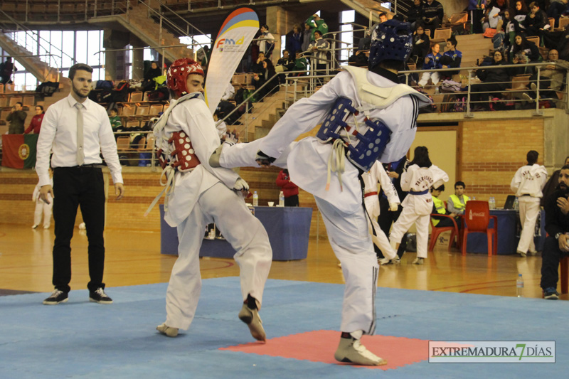 Imágenes del I Open Ibérico de Taekwondo &#39;Ciudad de Badajoz&#39;