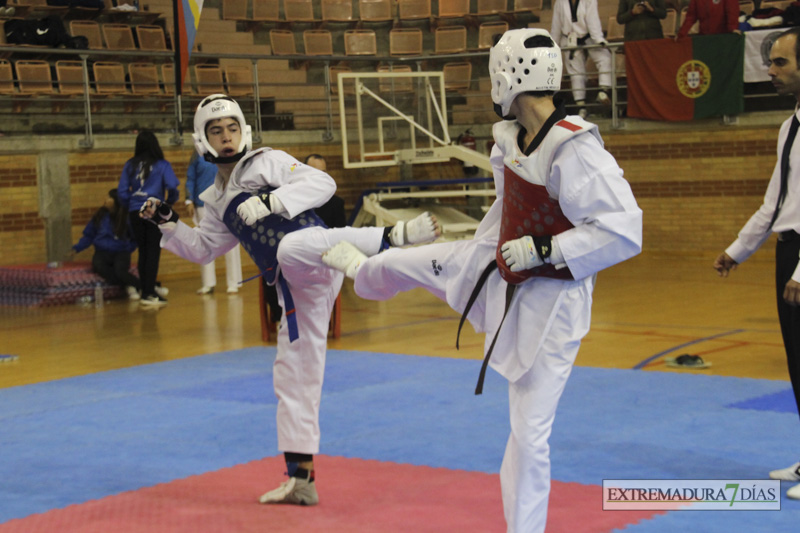 Imágenes del I Open Ibérico de Taekwondo &#39;Ciudad de Badajoz&#39;