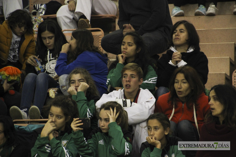 Imágenes del I Open Ibérico de Taekwondo &#39;Ciudad de Badajoz&#39;