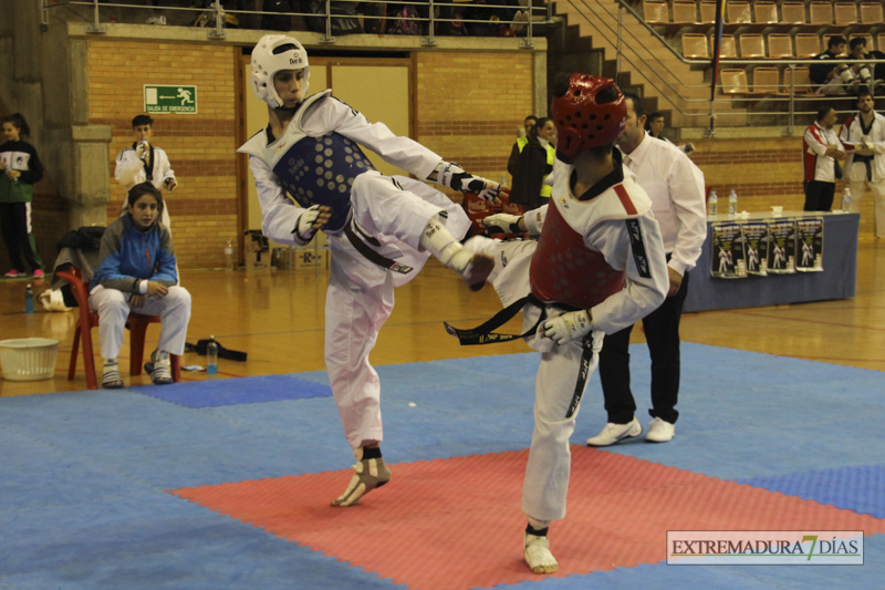 Imágenes del I Open Ibérico de Taekwondo &#39;Ciudad de Badajoz&#39;