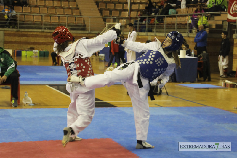 Imágenes del I Open Ibérico de Taekwondo &#39;Ciudad de Badajoz&#39;