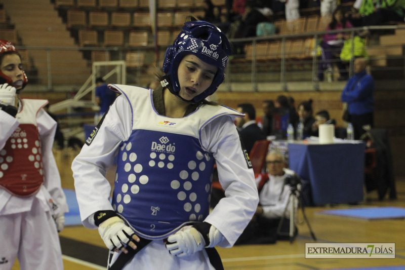 Imágenes del I Open Ibérico de Taekwondo &#39;Ciudad de Badajoz&#39;