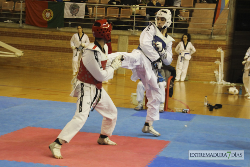 Imágenes del I Open Ibérico de Taekwondo &#39;Ciudad de Badajoz&#39;