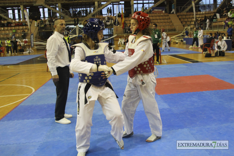 Imágenes del I Open Ibérico de Taekwondo &#39;Ciudad de Badajoz&#39;