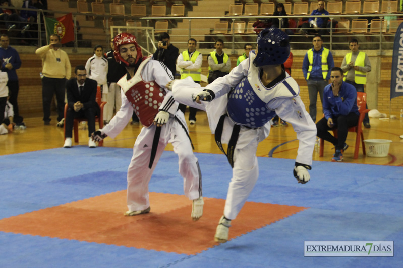 Imágenes del I Open Ibérico de Taekwondo &#39;Ciudad de Badajoz&#39;