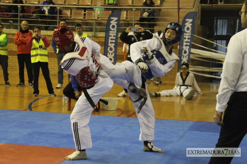 Imágenes del I Open Ibérico de Taekwondo &#39;Ciudad de Badajoz&#39;