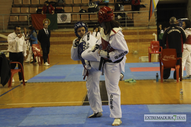 Imágenes del I Open Ibérico de Taekwondo &#39;Ciudad de Badajoz&#39;