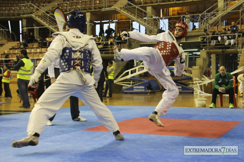 Imágenes del I Open Ibérico de Taekwondo &#39;Ciudad de Badajoz&#39;