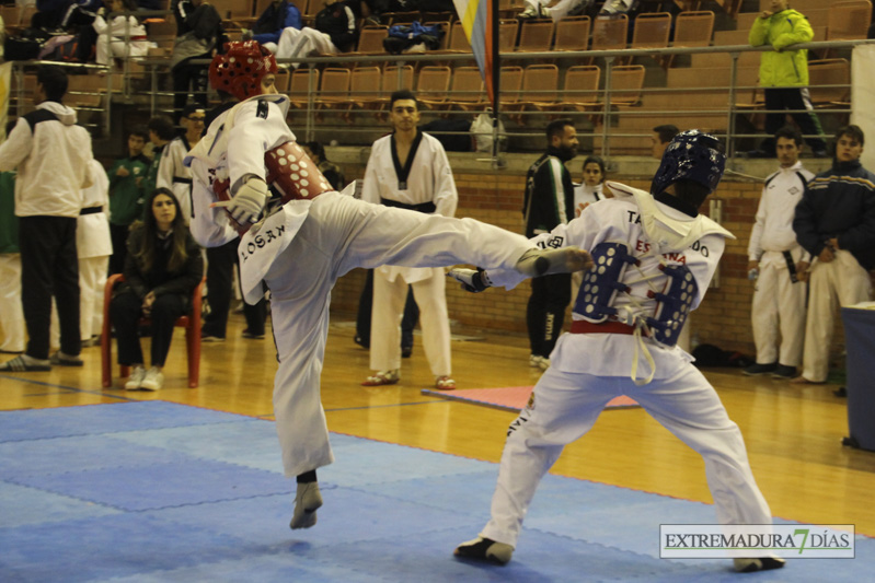 Imágenes del I Open Ibérico de Taekwondo &#39;Ciudad de Badajoz&#39;