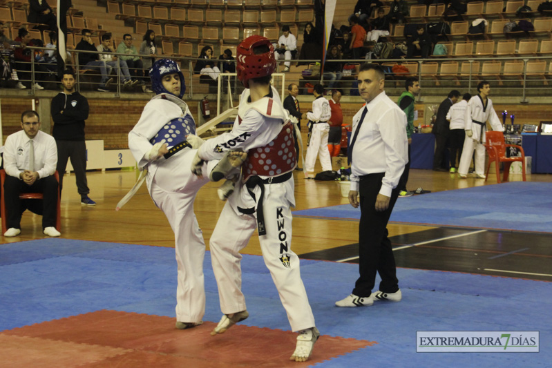 Imágenes del I Open Ibérico de Taekwondo &#39;Ciudad de Badajoz&#39;