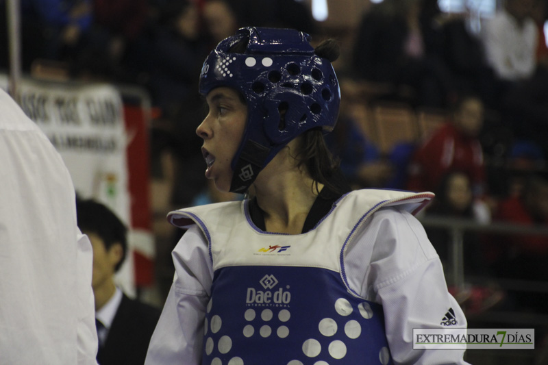 Imágenes del I Open Ibérico de Taekwondo &#39;Ciudad de Badajoz&#39;