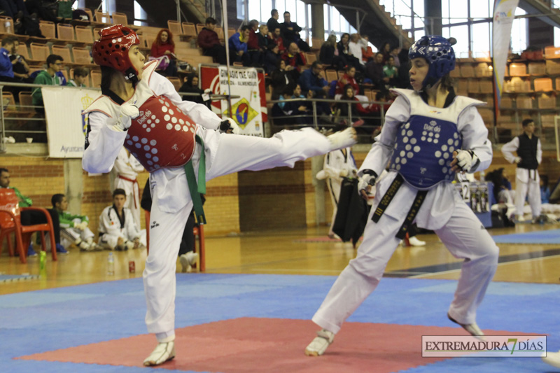 Imágenes del I Open Ibérico de Taekwondo &#39;Ciudad de Badajoz&#39;