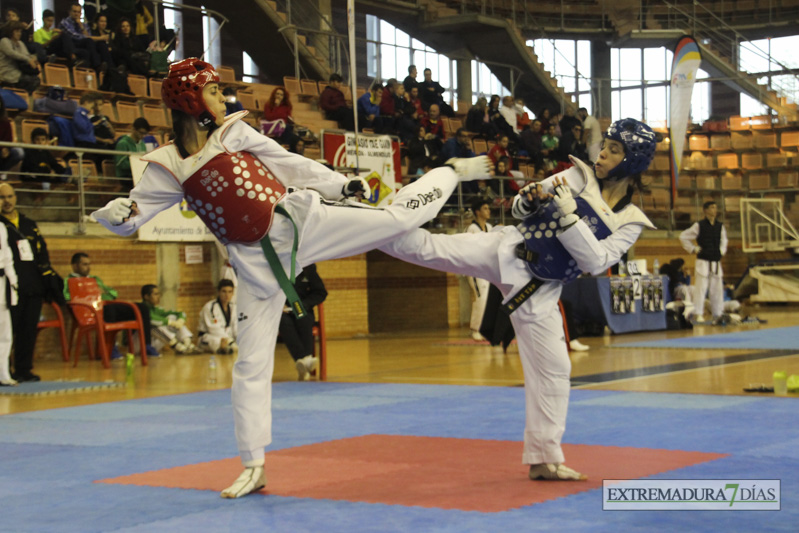 Imágenes del I Open Ibérico de Taekwondo &#39;Ciudad de Badajoz&#39;