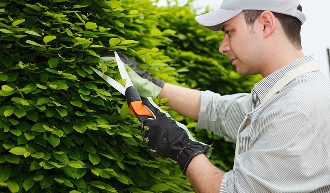 El Plan de Empleo de Mérida recibe 2.500 solicitudes