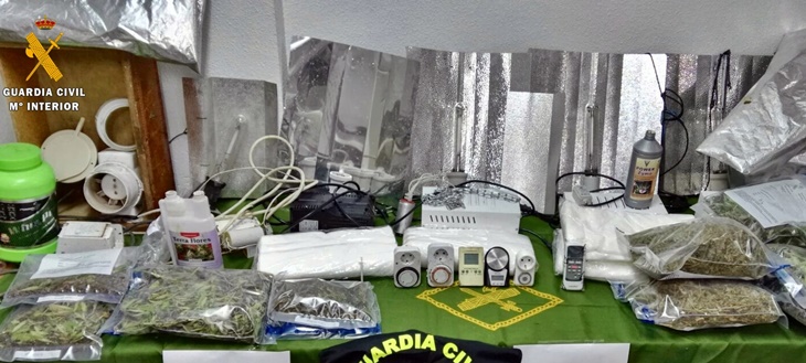 Cuatro miembros de una familia detenidos por cultivo y tráfico de drogas