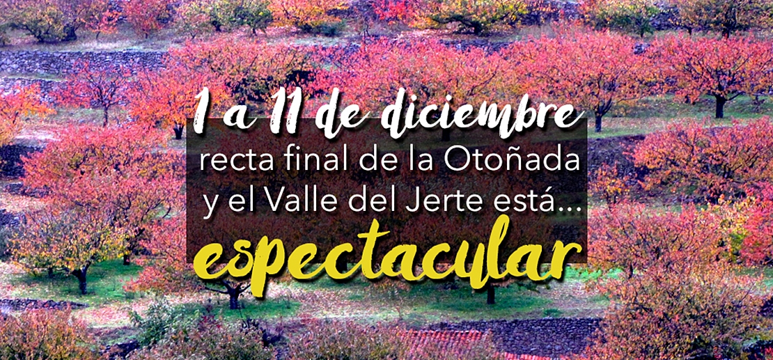 Recta final de la otoñada en un Valle del Jerte espectacular