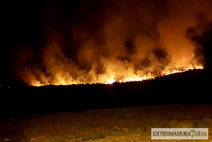 Medio Ambiente propone un comité para reforzar la prevención de incendios