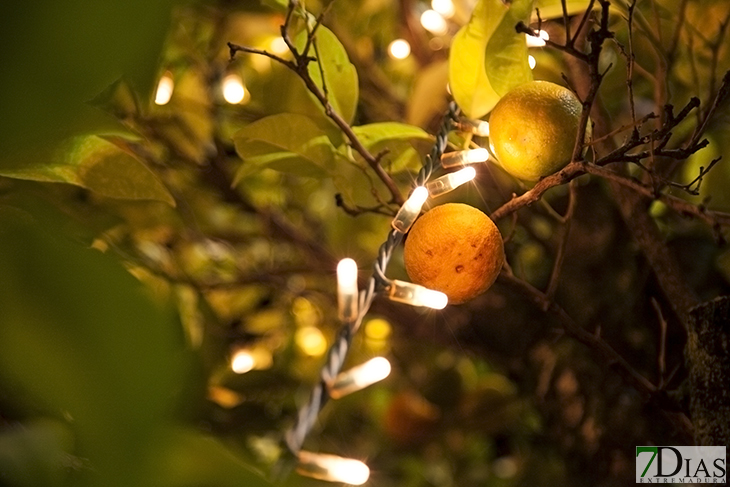 Luces navideñas de Badajoz. Un enfoque diferente