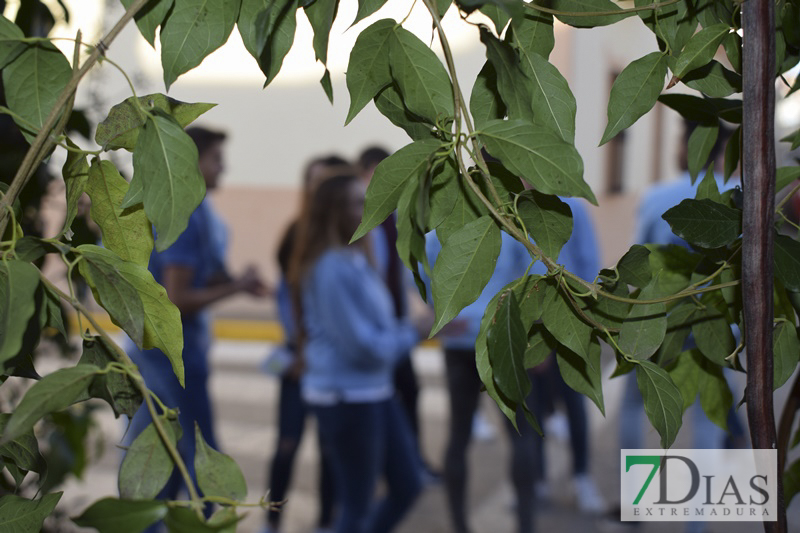 Multitudinaria Vigilia de la Inmaculada en Valverde de Leganés
