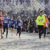 Imágenes de la San Silvestre Pacense 2016 III