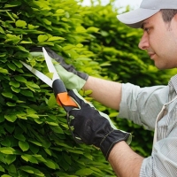 El Plan de Empleo de Mérida recibe 2.500 solicitudes