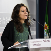 Podemos cree que presentar enmiendas parciales es un “paripé”