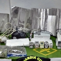 Cuatro miembros de una familia detenidos por cultivo y tráfico de drogas