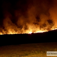 Medio Ambiente propone un comité para reforzar la prevención de incendios