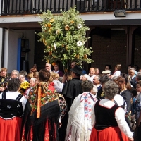 'La Fiesta del Árbol' a un paso de ser Bien de Interés Cultural