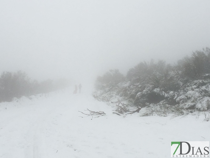 La nieve vuelve con fuerza al norte de Cáceres