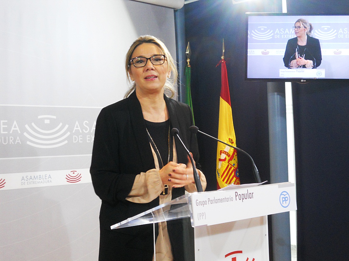 El PP pretende movilizar 95,5 millones a través de sus enmiendas