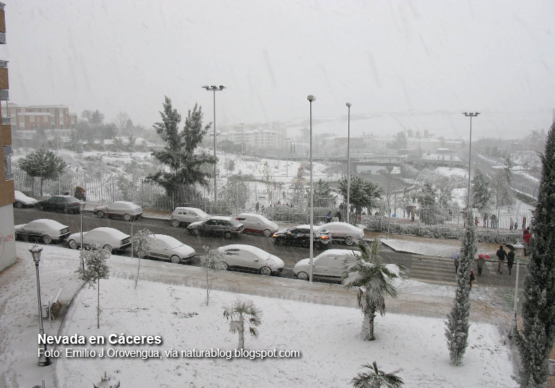 Se cumplen 7 años de las nevadas en Extremadura en enero de 2010, ¿Cómo ocurrió?