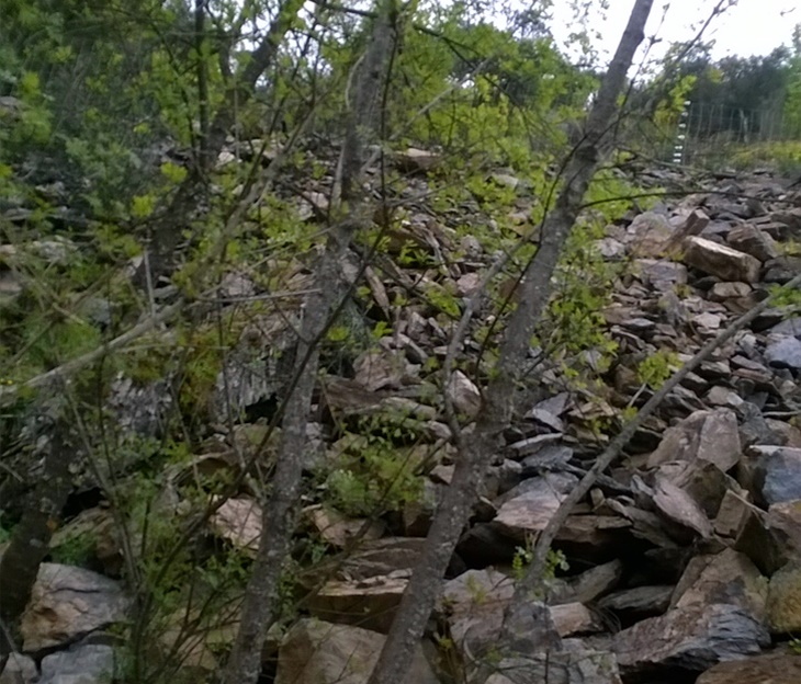 Ecologistas contra la Confederación Hidrográfica del Guadiana