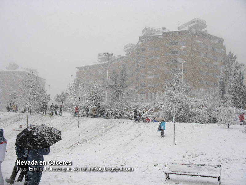 Se cumplen 7 años de las nevadas en Extremadura en enero de 2010, ¿Cómo ocurrió?