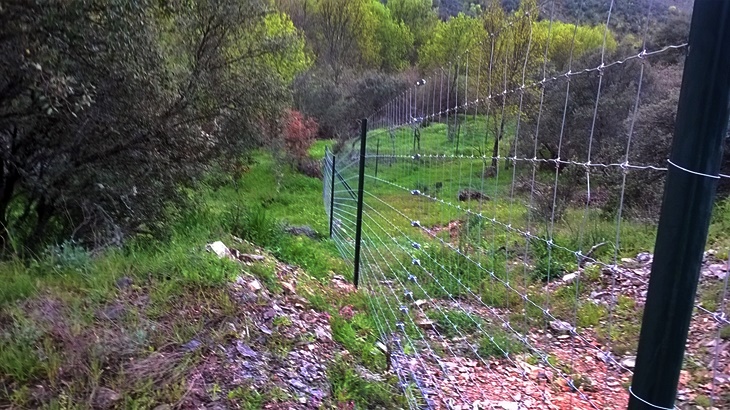 Ecologistas contra la Confederación Hidrográfica del Guadiana