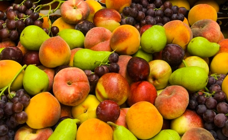 265 toneladas de fruta para los escolares de la región