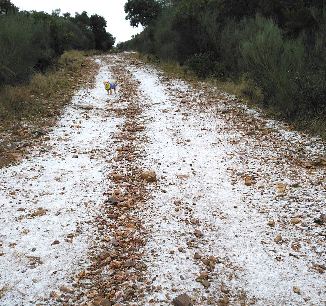 Ligera nevada en zonas altas del este de Badajoz la pasada noche