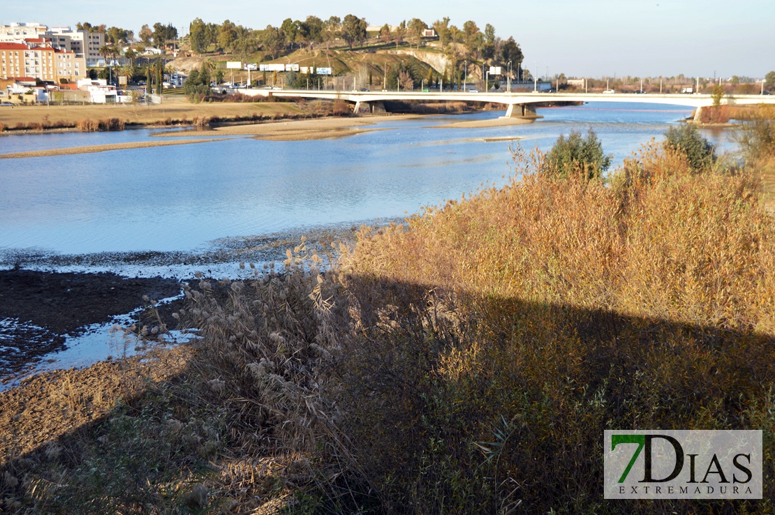 El río Guadiana se vacía para facilitar la limpieza de camalote