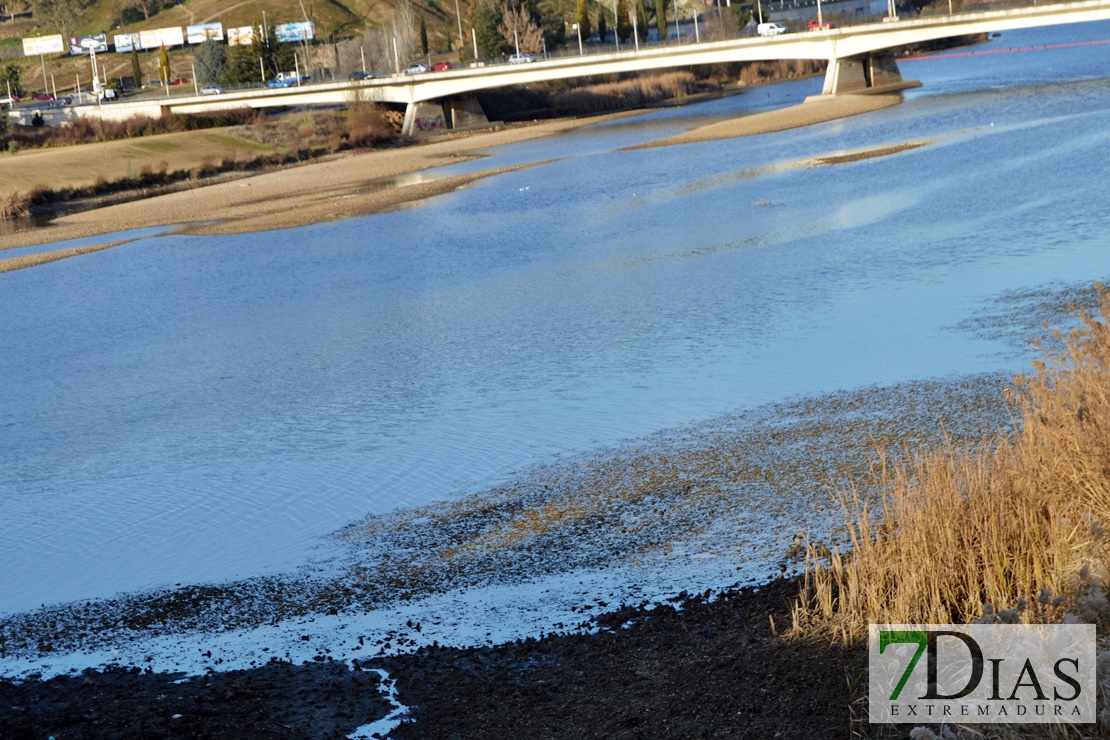 El río Guadiana se vacía para facilitar la limpieza de camalote