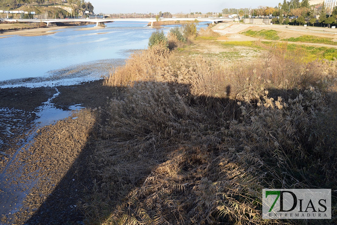 El río Guadiana se vacía para facilitar la limpieza de camalote