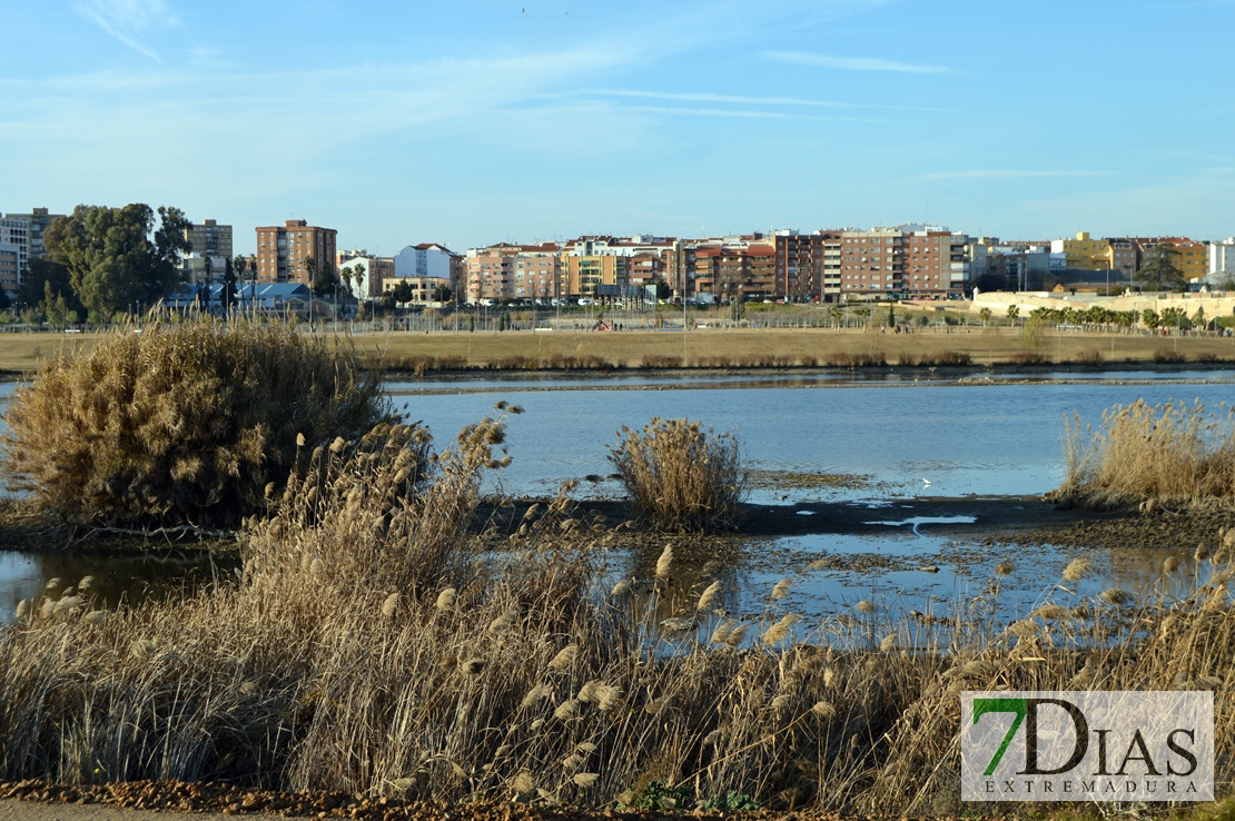 El río Guadiana se vacía para facilitar la limpieza de camalote