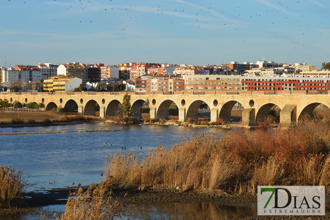 El río Guadiana se vacía para facilitar la limpieza de camalote