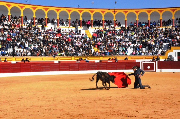 La Feria Taurina de Olivenza contará con tres corridas y una novillada