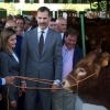 Los Reyes de España inaugurarán la XXIX Agroexpo en Don Benito