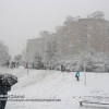Se cumplen 7 años de las nevadas en Extremadura en enero de 2010, ¿Cómo ocurrió?